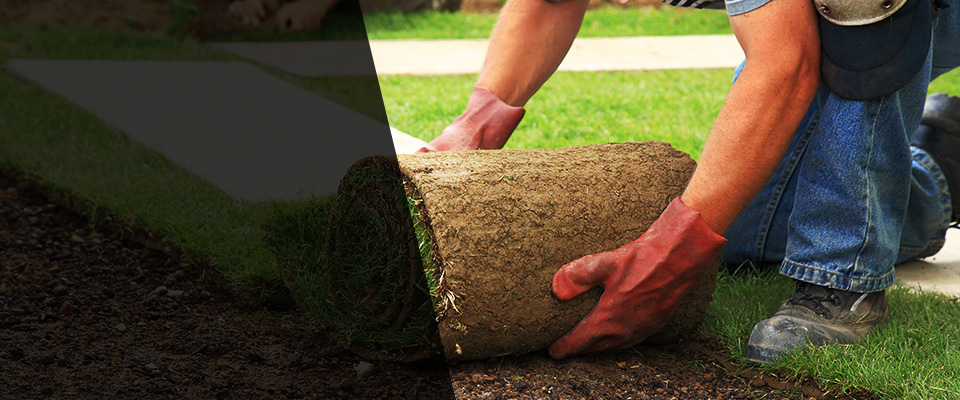 West Palm Beach Landscapers