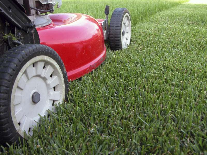 Seasonal Cleanup Services